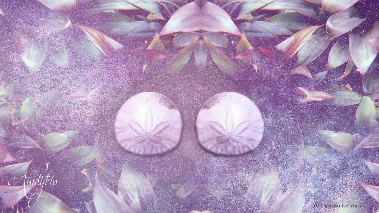 sand-dollar-spiritual-meaning-and-interpretation-auntyflo